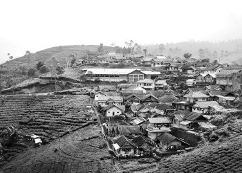 Pariwisata dan Petani: Depetanisasi, Agrowisata, dll.