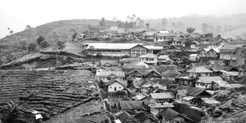 Pariwisata dan Petani: Depetanisasi, Agrowisata, dll.
