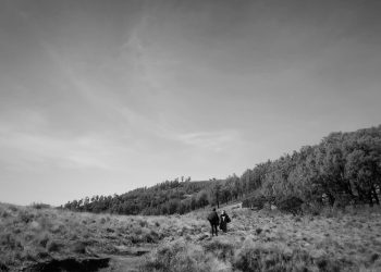 Untuk Tenggelam dalam Ketinggian