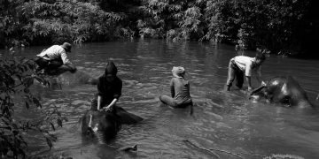 Jejak Terakhir Rimbani