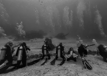 Membuat Janji Bersama Manta