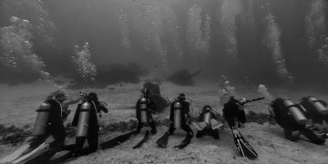 Membuat Janji Bersama Manta